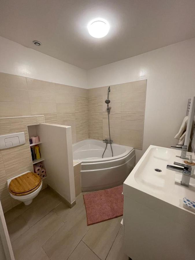 Bel Appartement Grande Terrasse Avec Parking A Дижон Екстериор снимка