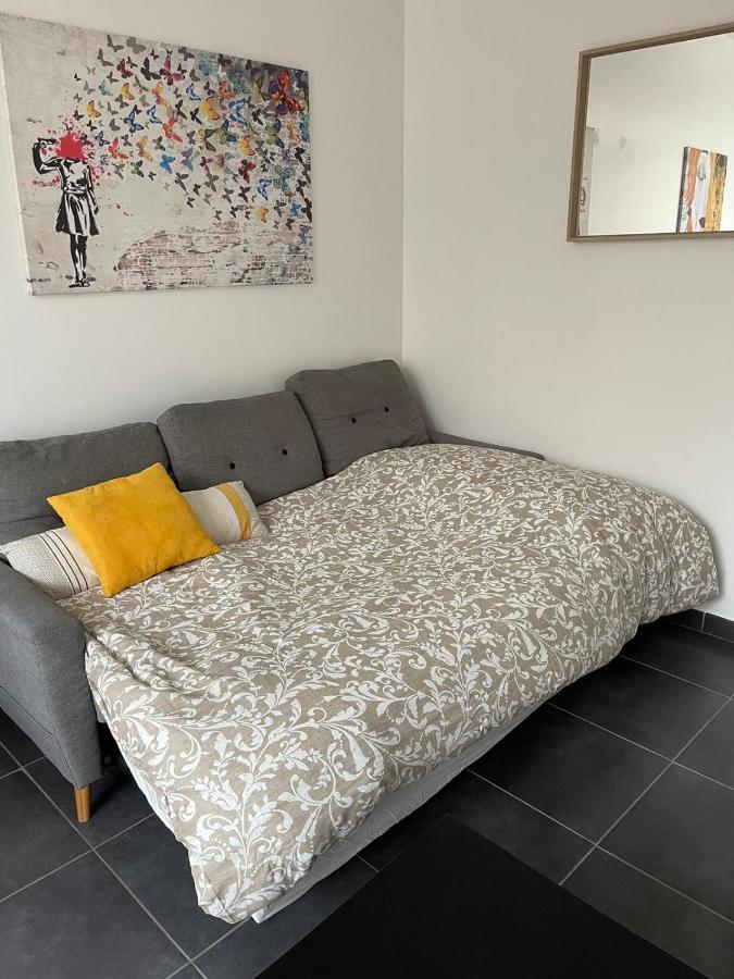 Bel Appartement Grande Terrasse Avec Parking A Дижон Екстериор снимка
